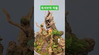 목석부작 수강작품 경기북부서울지부 작품전 #바위솔 #용설