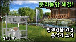 #멍마들  (12시간 재생) 반려견 분리불안 해결! 강아지 음악과 자연의 소리 - Resolving dog separation anxiety