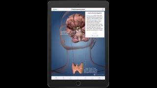 Journey Through the Endocrine System App Teaser