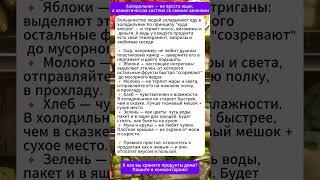 Как не испортить продукты! Ошибки хранения, которые мы совершаем каждый день
