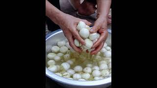 Pickled white eggplant #garden #farming #vegetables #harvest #food #cooking