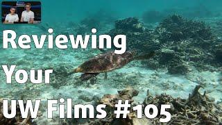 Reviewing YOUR UNDERWATER FILMS #105 ⎮ Craig Brown