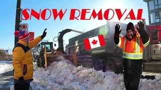 Snow REMOVAL & DUMP in Montreal Quebec蒙特利尔除雪——加拿大海哥 Hihai Montreal