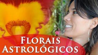 FLORAIS ASTROLÓGICOS - O QUE SÃO E COMO ATUAM? - POR PAULA PIRES