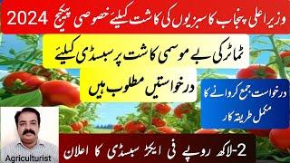 Punjab govt tomato farming scheme | subsidy on vegetables sowing | zarai mashwary