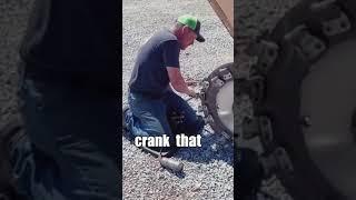 Cute Racoon helps on Construction Site ️ #racoon #animals #cute