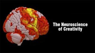 The Neuroscience of Creativity