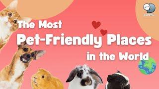 The Most Pet-Friendly Places in the World