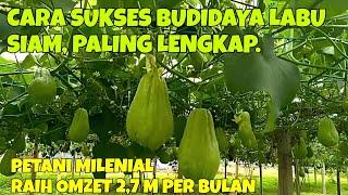 CARA SUKSES BUDIDAYA LABU SIAM, PALING LENGKAP. PETANI MILENIAL BANDUNG RAIH OMZET 2,7 M PER BULAN.