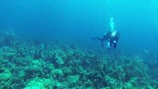Sonar pinging when scuba diving
