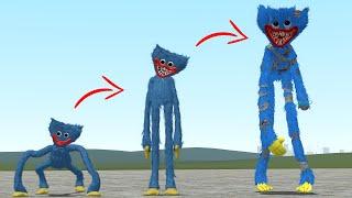 EVOLUTION OF NEW HUGGY WUGGY POPPY PLAYTIME CHAPTER 4 in Garry's Mod!