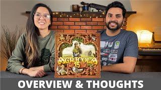 Agricola 15th Anniversary Big Box - Overview & Thoughts