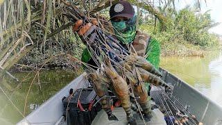 Tarikan Padu Udang Galah Sungai Muar | #mancingudang #prawnfishing #shrimpfishing