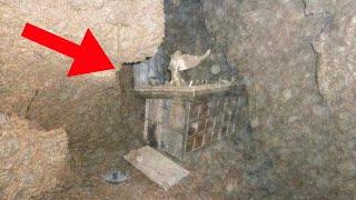 Archeolodzy ogłosili, że Arka Przymierza została odnaleziona!