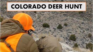 COLORADO DEER HUNT