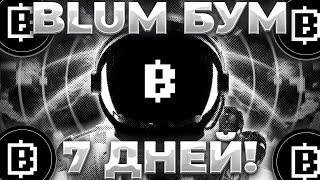 BLUM - БУМ ЧЕРЕЗ 7 ДНЕЙ! ГОТОВЬСЯ ЗАБРАТЬ ТОКЕНЫ BLUM! BLUM ЛИСТИНГ!