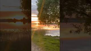 Обожаем утреннюю рыбалку #врек #shotrs #rec #fishing #morning #shortvideo #viral