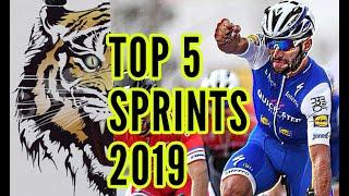 FERNANDO GAVIRIA: Top 5 Sprints 2019 - (NEW)