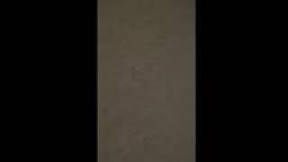Birch Creek - Mountain View - UDR Apartments