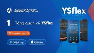 #1 Tổng quan về YSflex