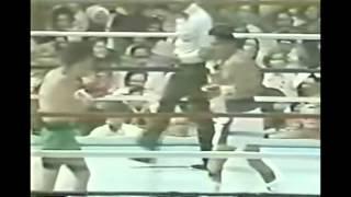 ELOY PINCAY ROBERTO DURAN KO A ALVARO ROJAS NARRACION DE UN TICO