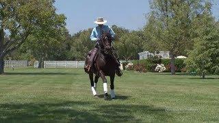 Cowboy Dressage with Eitan Beth-Halachmy, Fly Lead Changes