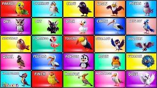 Birds Name | Birds Vocabulary | 30 Birds Name In English With Pictures | Birds Name for Kids #birds