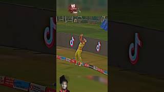 Stonis Catch ️ #cricket #stoinis #marcusstoinis #shorts #shortvideo #short #catch