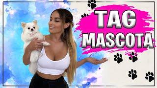 Mi PERRITA hace PARKOUR Tag de la MASCOTA | Paola Mandala