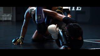 Pro MMA Gym Training & Sparring - The Treigning Lab