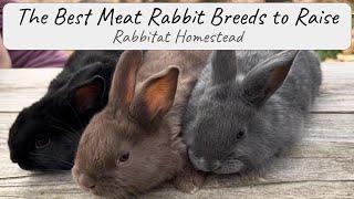 The Best Meat Rabbit Breeds to Raise