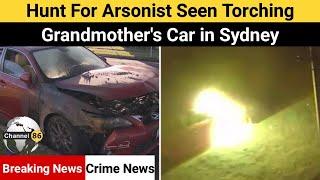 Hunt for arsonist seen torching grandmother's car in Sydney - australia news update - Channel 86