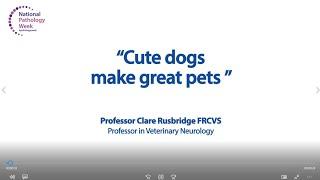 Pathology Myths and Misconceptions: 'Cute dogs make great pets'