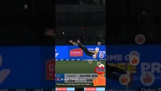 #cricket #flyingcatch #flyinghuman #supermancatch #newzealandcricket  #1000subscriber #cricketlover