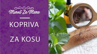 KOPRIVA za KOSU - RECEPTI | Minut za Mene