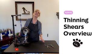 Thinning Shear (Thinners / Blenders) Overview - How to Use a Thinning Shear - Gina's Grooming