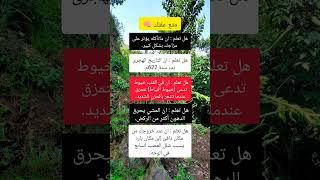 متع عقلك #معلومات #علم_النفس #اكسبلور