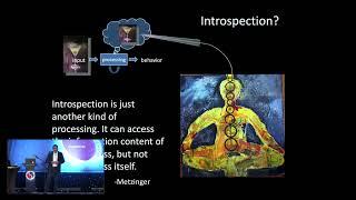 2024 TSC PLENARY 7 - MECHANISMS OF CONSCIOUSNESS