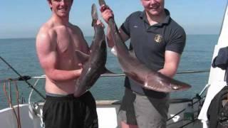 Swansea boat fishing - Blue Dolphin - 17th April 2010