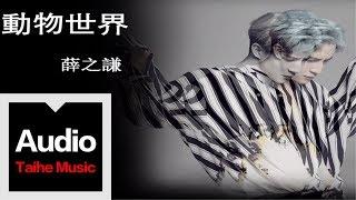 薛之謙 Joker Xue【動物世界】官方歌詞版 MV