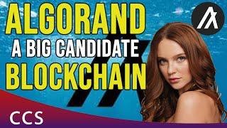 Algorand a Powerful Blockchain Competitor of Ethereum - ALGO Tech and News Review - TA and More