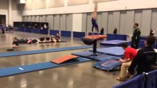 Bre vault Practise Xclbr