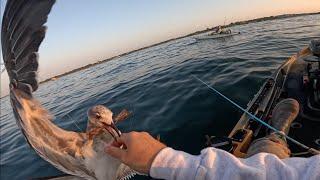 A Sloppy Day Of Kayak Fishing