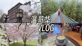 温哥华2 | 吊桥公园 | 蒸汽钟 | 渔人码头 | 樱花林 | 吃货的一天 - 花花vlog