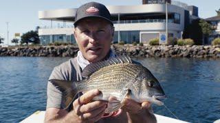 How To Catch Bream | Welcome To Fishing