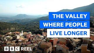 The Italian valley with the secret to long-life – BBC REEL