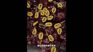 法医通过昆虫确定尸检的时间#知识 #解说 #科普