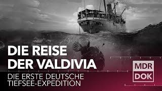 Die Reise der Valdivia - Die erste deutsche Tiefsee-Expedition | MDR DOK