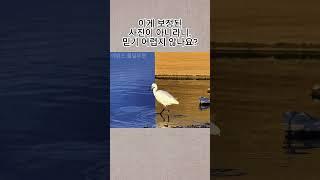 이게 보정된 사진이 아니라니, 믿기 어렵지 않나요? |흥미로운 지식