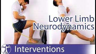 Lower Limb Neurodynamic Techniques | Sliders & Tensioners